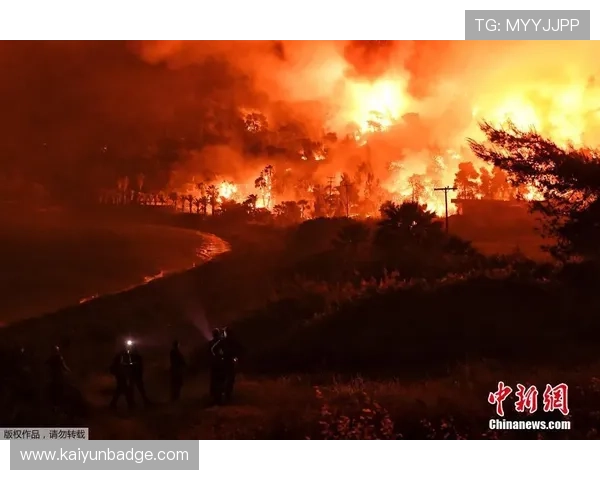 提升运动体验:开云体育会员的多重好处值得尝试
