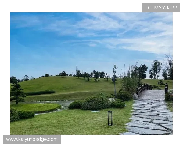 探索开云体育网页版的独特体验,带给你无与伦比的赛事观看感