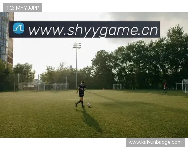 新手必看:怎样才能找到开云体育的官方网址