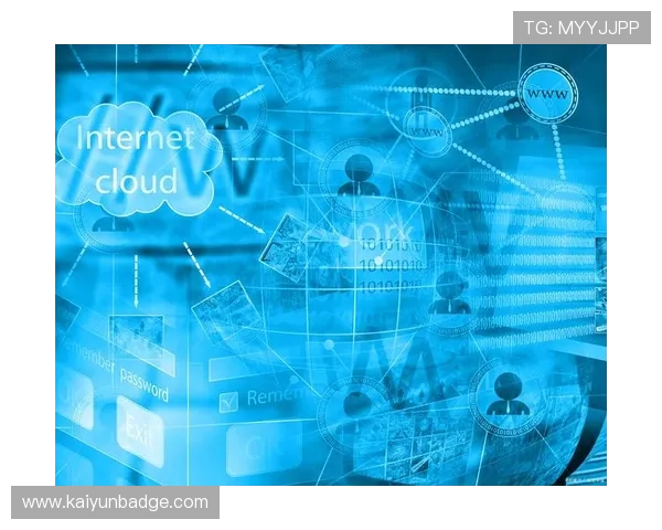 深入解析开云网络的安全性及其在企业中的应用