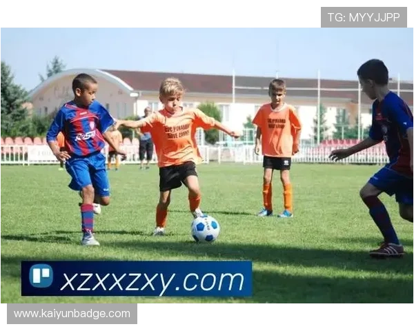 玩转开云体育手机版APP，享受无与伦比的体育赛事直播